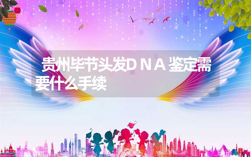 贵州毕节头发DNA鉴定需要什么手续