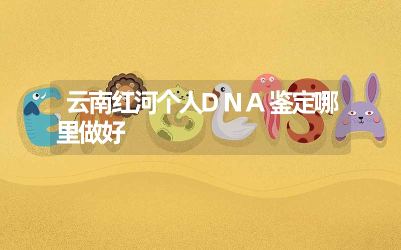 云南红河个人DNA鉴定哪里做好