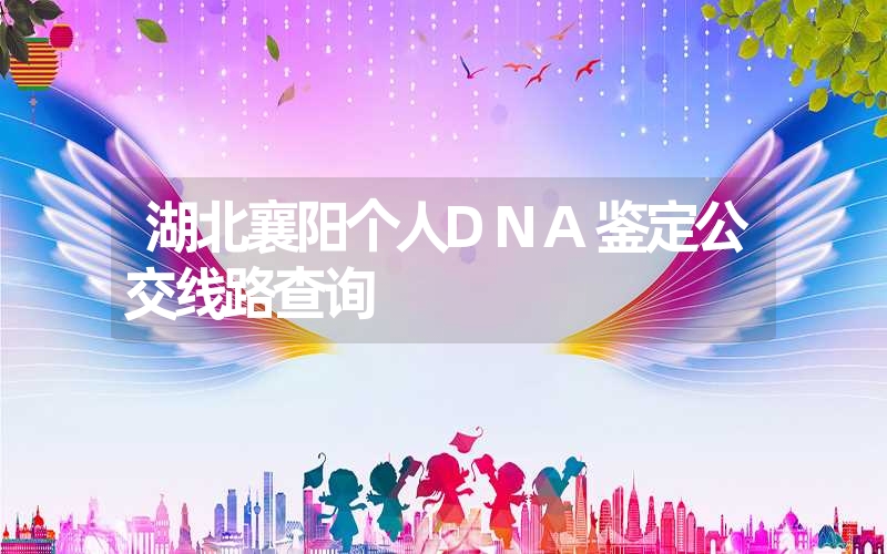 湖北襄阳个人DNA鉴定公交线路查询