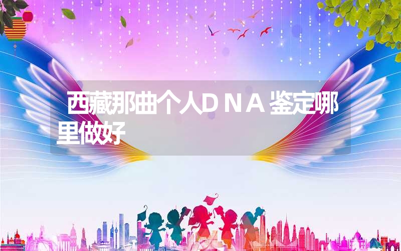 西藏那曲个人DNA鉴定哪里做好