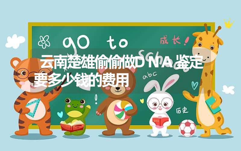 云南楚雄偷偷做DNA鉴定要多少钱的费用